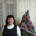 ���� �������, ��������, 43 ���� - ��������� 23 ������ 2024 � ������ ���� ����������