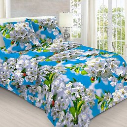 ���������, ������, 29 ���