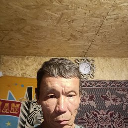 , 49 , 
