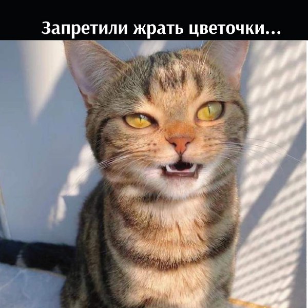 ���������� ������ - 3