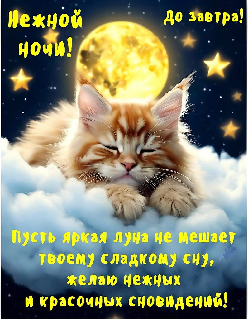 ОБО ВСЕМ - 20 июня 2025 в 00:15