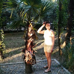 ���� �����, �������, 48 ��� - ��������� 9 ������� 2025