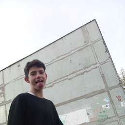 �����, 18 ���, ���������