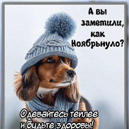 ����, �����������, 52 ����