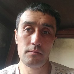 ������, ������, 37 ���