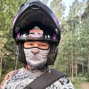 ���� �������, �����, 43 ���� - ��������� 16 ������ 2025