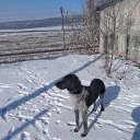 ���� ��������, ����������, 68 ��� - ��������� 31 ���� 2025 � ������ ���� ����������