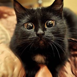 ������! ����� �. �� ���� ������!!!, ����, 20 ���