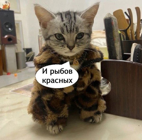   ? - 2