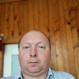 ����, 41 ���, ������