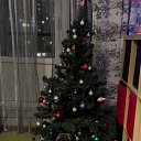 ���� �������, �����������, 23 ���� - ��������� 26 ������� 2025 � ������ ���� ����������