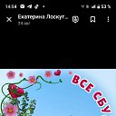 ���� ��������� ������������, ����-���, 62 ���� - ��������� 18 �������� 2025 � ������ ���� ����������