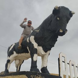 ������, ������, 38 ���