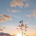 ���� ���������, ���������, 44 ���� - ��������� 31 ������ 2024 � ������ ���� ����������