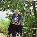 �������, ����� �� ������� �������� ������ 2018�