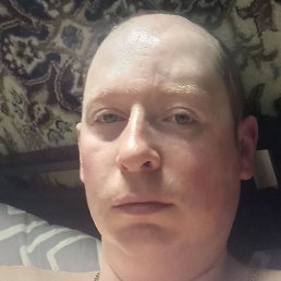 ����, �����-���������, 36 ���