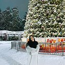 ���� ����, ������, 31 ��� - ��������� 14 ����� 2026 � ������ ���� ����������