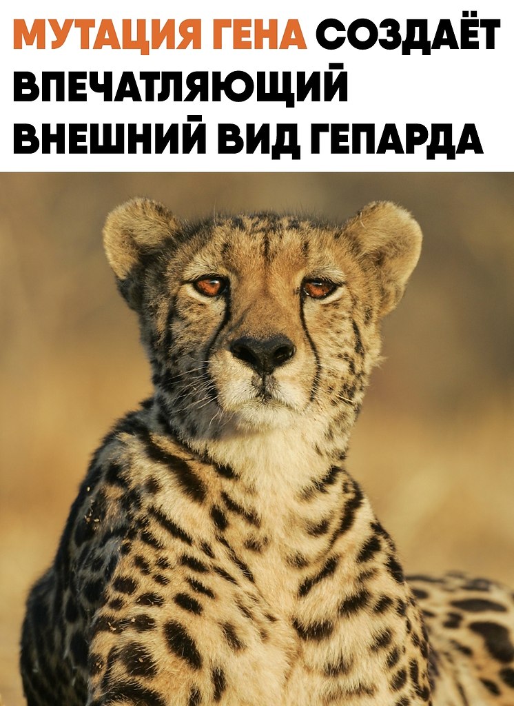 ����������� ������ � ��� ������ �������� ������, � �� ��������� ���. ������ ��������� ������ ...