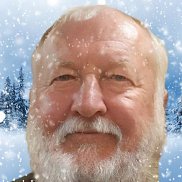 ����, 41 ���, ����������