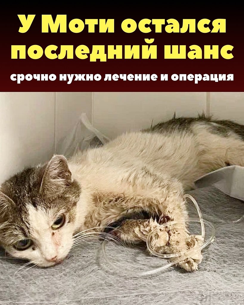 ���� �� ����� ����. �� ���������� ������ ���� ������ ������� �������. ���������� �� ���, ���� � ...