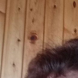 ��������, ������, 61 ���