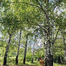 �����, ������-��-����, 42 ����