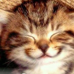 ���, ������, 50 ���