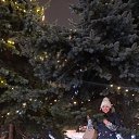 ���� ���������, �����������, 40 ��� - ��������� 31 ������ 2024 � ������ ���� ����������