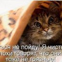 ���� ����� �����, �����-��������� - ��������� 29 ���� 2025 � ������ ���� ����������