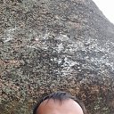 ���� ������, �������, 33 ���� - ��������� 2 ������ 2026 � ������ ���� ����������