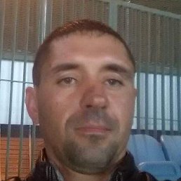 ����, �����, 41 ���