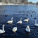 ���� ����, �������, 42 ���� - ��������� 16 ������� 2026 � ������ ���� ����������
