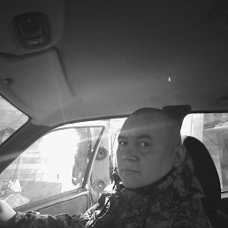 �������, �������, 38 ���