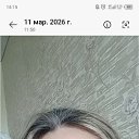 ���� �������, ������, 41 ��� - ��������� 28 ���� 2026 � ������ ���� ����������