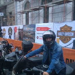 �������, �����-���������, 43 ����