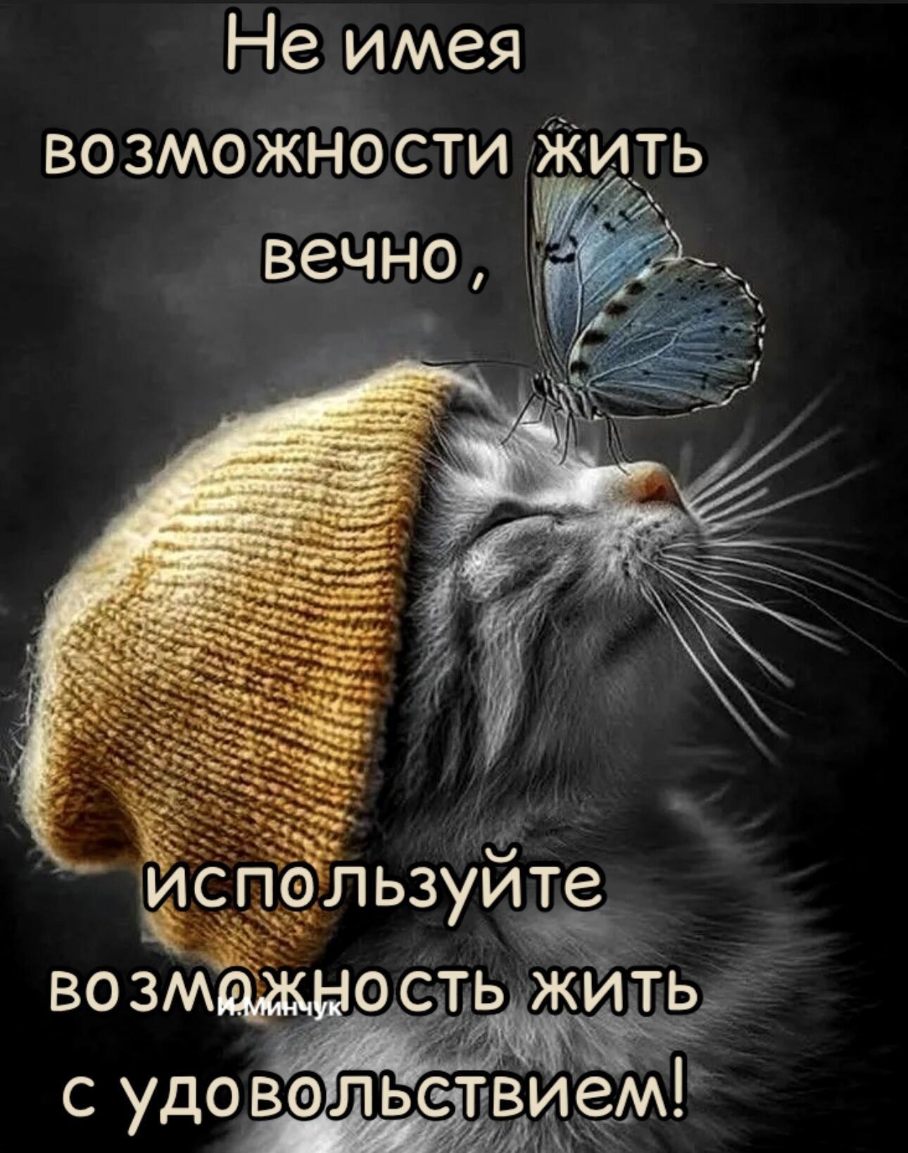 ***Victoria Viktorovna*** - 10  2025  05:58