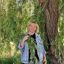 ���� �����, �������, 61 ��� - ��������� 27 ��� 2025