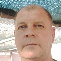 ������, ���������, 50 ���