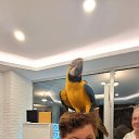 ���� ������, ����, 76 ��� - ��������� 24 ������ 2025 � ������ ���� ����������