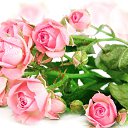 ���� �����, ����������� - ��������� 8 ����� 2024 � ������ ���� ����������