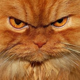 ���� ������, ���������, 46 ��� - ��������� 26 ������� 2024