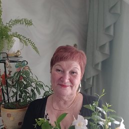 , 66, 