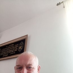 , 52, 