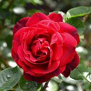 ���� Aleksandr, �����������, 64 ���� - ��������� 27 ���� 2025 � ������ ������ ��������