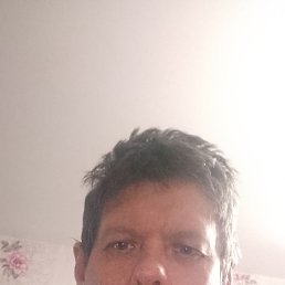 ���� ������, �����, 41 ��� - ��������� 22 ����� 2026