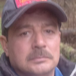 ������, ������, 51 ���