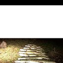 ���� ��������, ������������, 64 ���� - ��������� 30 ������� 2024 � ������ ���� ����������