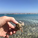 ���� ����, ������� - ��������� 26 ������� 2025 � ������ ���� ����������