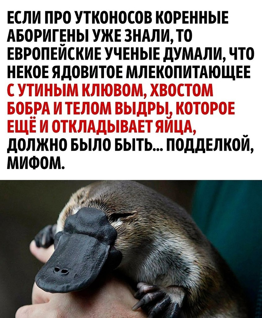   ? - 2
