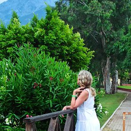 ���� ˸��, ������������ - ��������� 31 ���� 2024